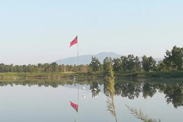 Aliağa Kuş Cenneti - Resim 2