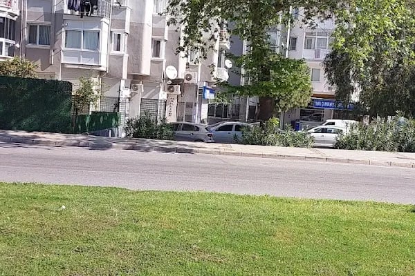 Aliağa Kuş Cenneti - Resim 19