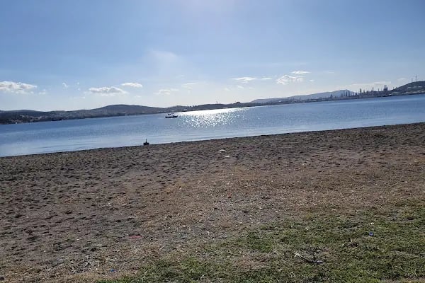 Aliağa Kuş Cenneti - Resim 7