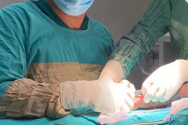 Prof. Dr. Ali Fuat Karataş - Resim 1