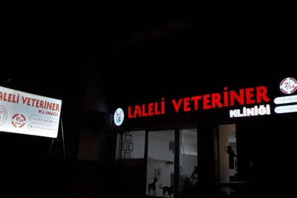MANİSA LALELİ VETERİNER KLİNİĞİ 7/24 ACİL - Resim 7