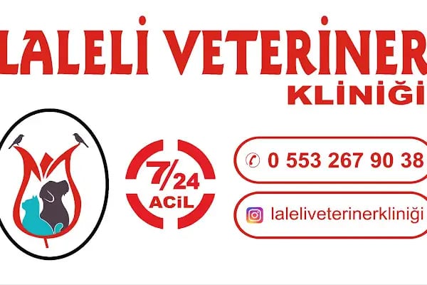 MANİSA LALELİ VETERİNER KLİNİĞİ 7/24 ACİL - Resim 12