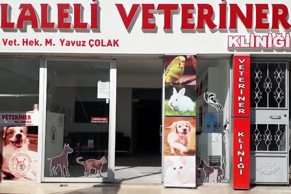 MANİSA LALELİ VETERİNER KLİNİĞİ 7/24 ACİL - Resim 8
