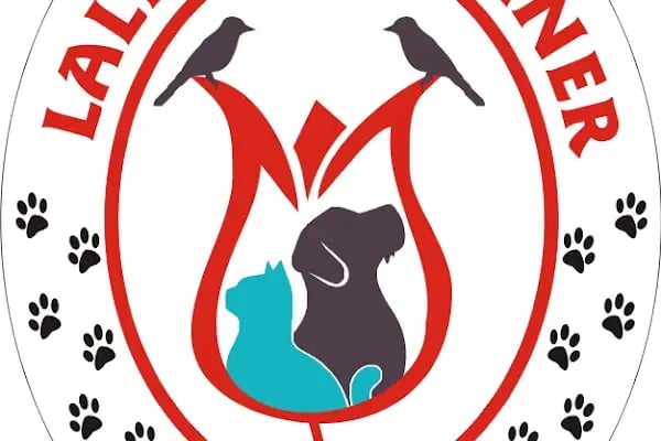 MANİSA LALELİ VETERİNER KLİNİĞİ 7/24 ACİL - Resim 11