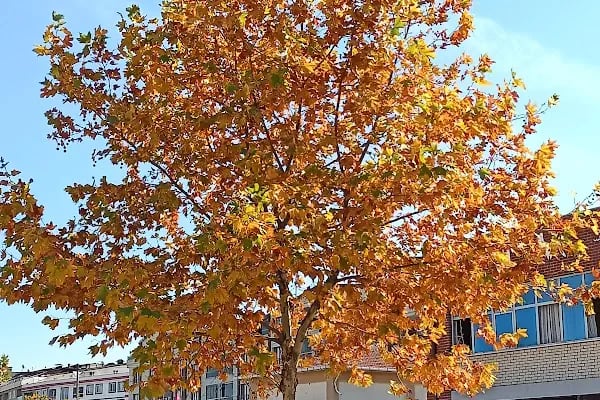 Bursa Büyükşehir Belediyesi Gençlik ve spor Hizmetleri Dairesi Başkanlığı - Resim 10