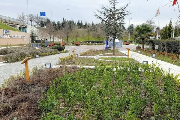 Tıbbi Ve Aromatik Bitkiler Bahçesi - Resim 7