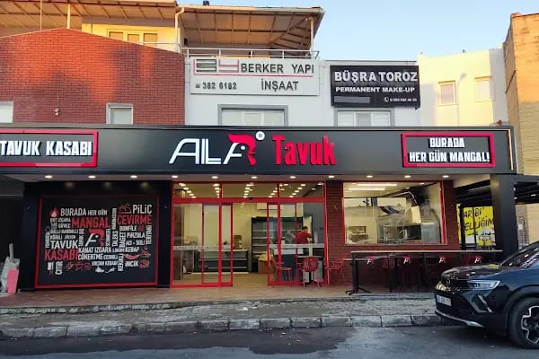 Ala Tavuk - Resim 12
