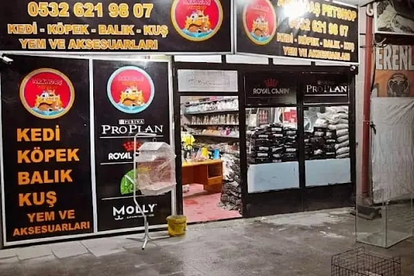 Sakarya Arkadas petshop - Resim 6