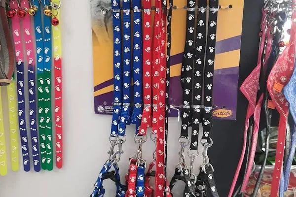 Sakarya Arkadas petshop - Resim 12