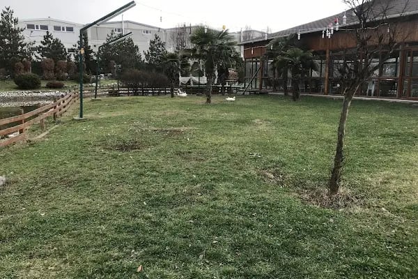 Botanik Park - Resim 16