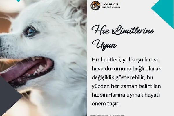 Kaplan Sürücü Kursu - Resim 12