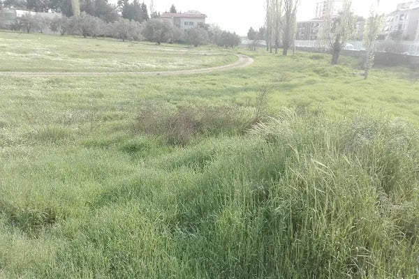 T.C. Sağlık Bakanlığı Buca Seyfi Demirsoy Eğitim ve Araştırma Hastanesi - Resim 16