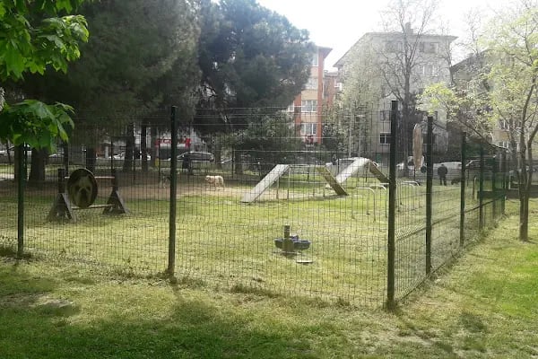 Evcil Hayvan Eğitim Alanı - Resim 1