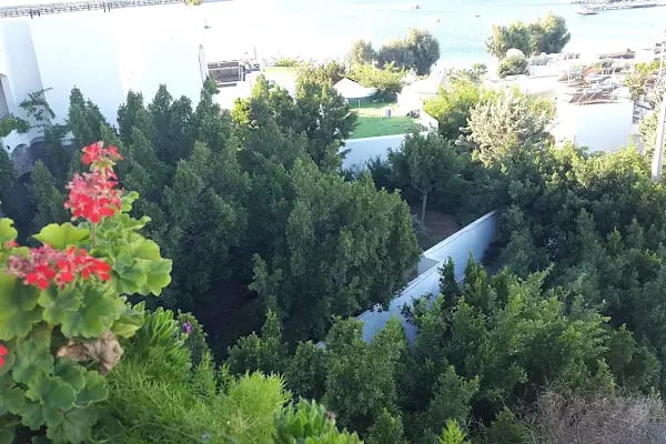 Yeni İmbat Sitesi - Resim 14