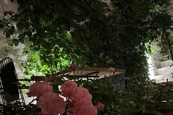 Sarmaşık Otel - Resim 13