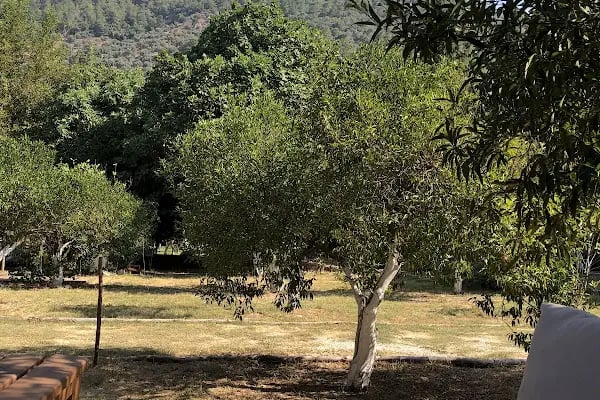Kılıçoğlu Kars Pastane Cafe&amp;Restaurant - Resim 18