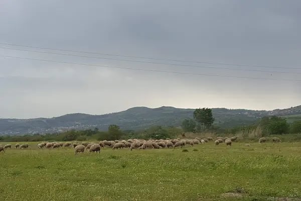 Hera Termal Devremülk Turizm - Resim 9