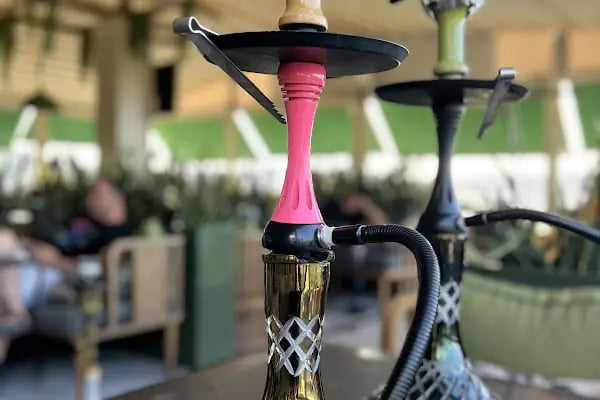 Minty Doburca - Resim 17