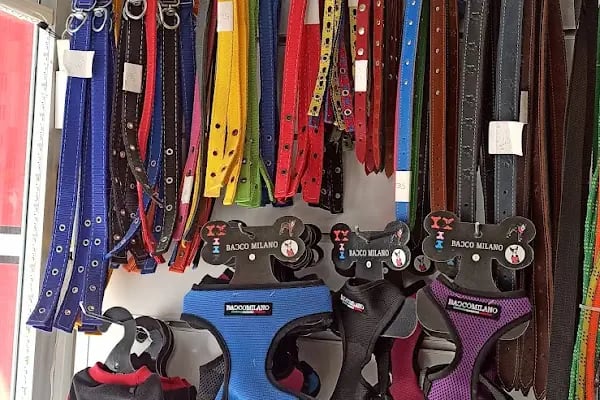 Hoby petshop - Resim 11