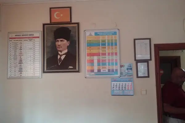 Özel Alanya Merkez Sürücü Kursu - Resim 8
