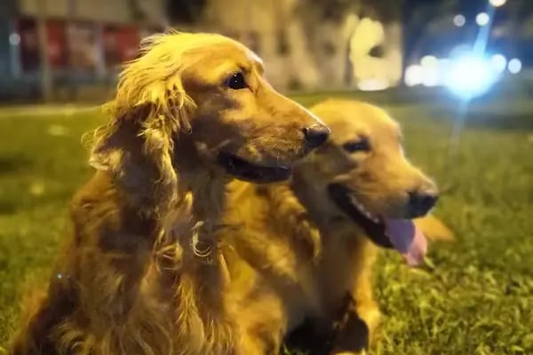 Üçyol Sevgi Yolu Parkı - Resim 12