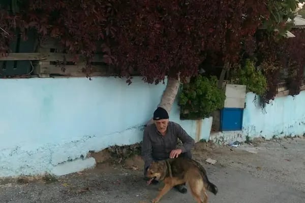 Üçyol Sevgi Yolu Parkı - Resim 19