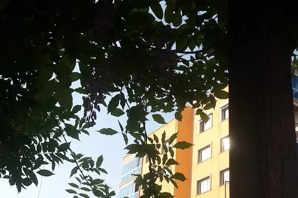Üçyol Sevgi Yolu Parkı - Resim 13