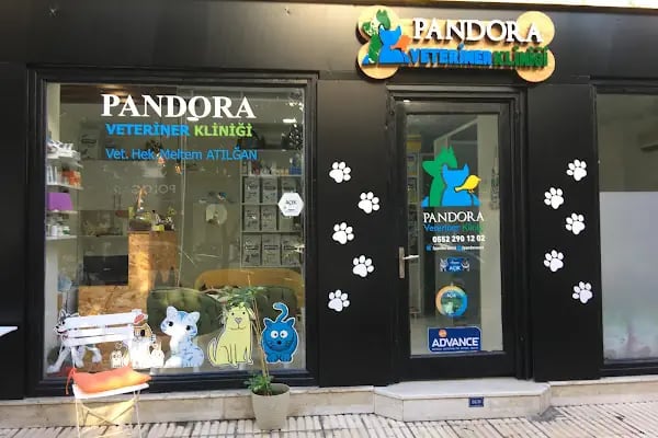 Adana Pandora Veteriner Kliniği - Resim 13