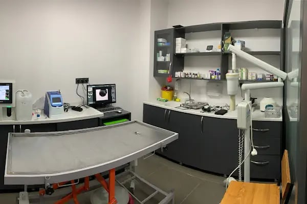 Adana Pandora Veteriner Kliniği - Resim 3