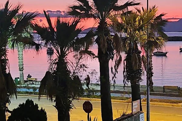 Bodrum Diş Hekimi Baran Karaoğlu - Resim 4