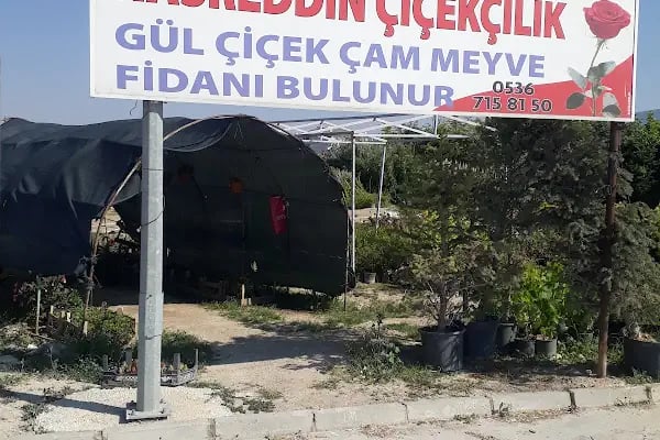 Nasreddin Çiçekçilik (Peyzaj) - Resim 1