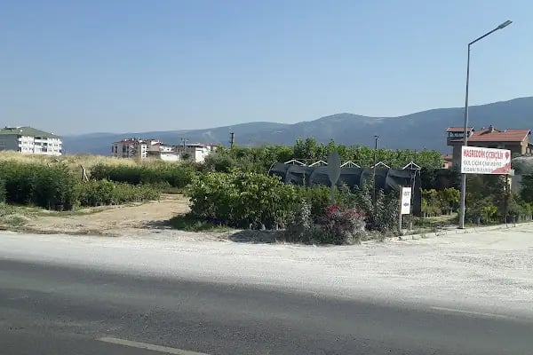 Nasreddin Çiçekçilik (Peyzaj) - Resim 2