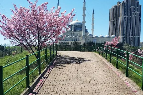 Ataşehir Mimar Sinan Camii - Resim 16