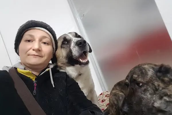 Kuğulu Veteriner Kliniği - Resim 14