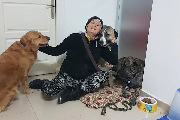 Kuğulu Veteriner Kliniği - Resim 2