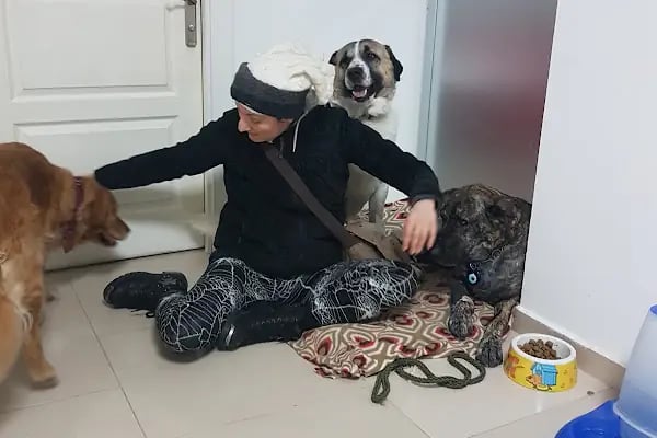 Kuğulu Veteriner Kliniği - Resim 13