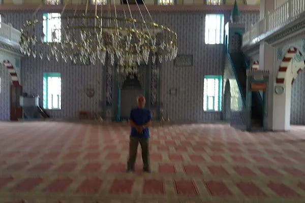 Abdülhamit Han Camii - Resim 14