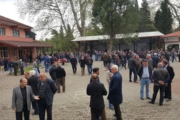 Abdülhamit Han Camii - Resim 10