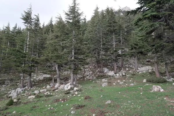 Halimin gölü - Resim 5