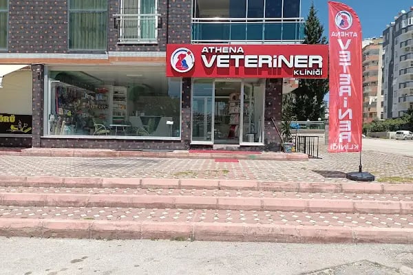 Athena Veteriner Kliniği - Resim 8