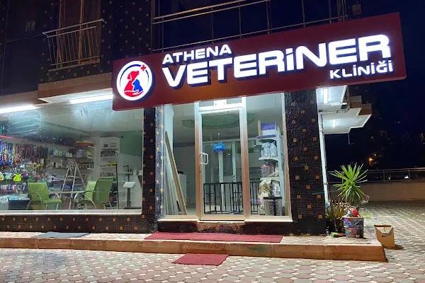 Athena Veteriner Kliniği - Resim 4