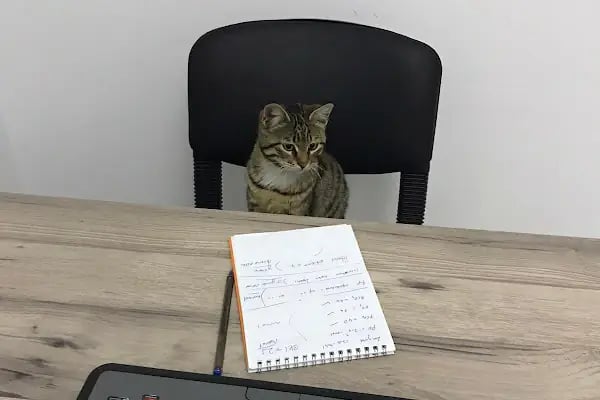 Athena Veteriner Kliniği - Resim 11