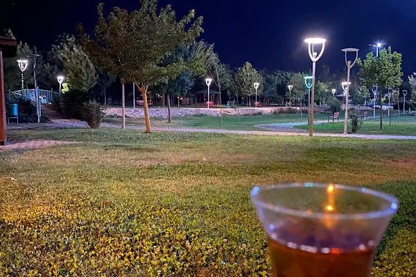 Karapınar Parkı Araban - Resim 18