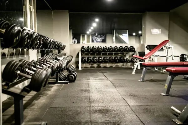 LUDUS GYM - Resim 2