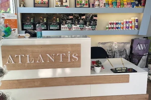 Atlantis Veteriner Kliniği - Resim 4
