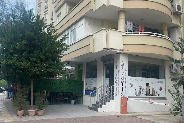 Atlantis Veteriner Kliniği - Resim 9