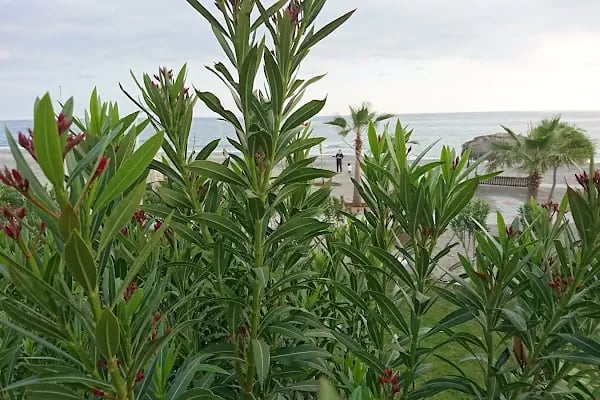 Akdeniz Blue Park Residence - Resim 17