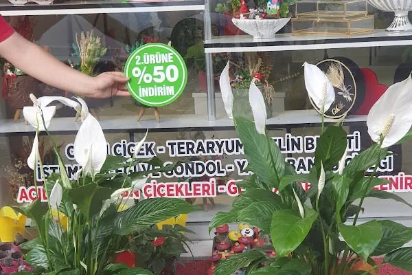 Çiçek Köşkü Ceyhan - Resim 4