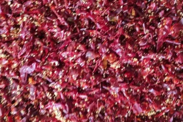 Karakaya Biber Baharat Salça - Resim 19