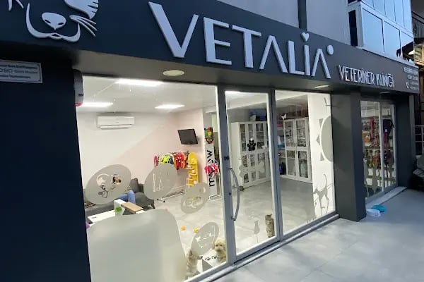 VETALİA VETERİNER KLİNİĞİ - Resim 3